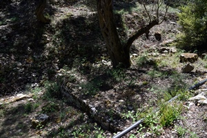 Vatos well (Lakka)